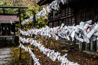 Papers hanging on railing at temple