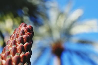 Close-up of hand against blue sky