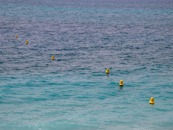 High angle view of yellow floating in sea