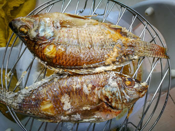 High angle view of fish on table