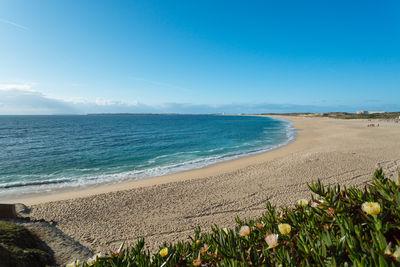 Scenic view of beach against blue sky