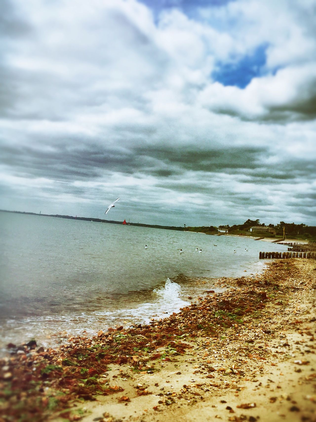 Lepe country park