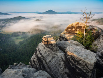 Autumnal misty foggy morning in valley of bohemian switzerland park, hills with fog, beautiful park