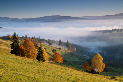 Scenic view of field against sky during autumn