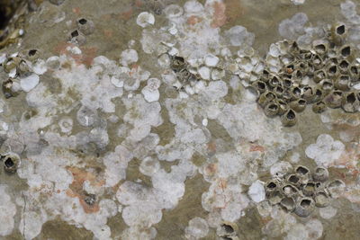 Full frame shot of rocks in water