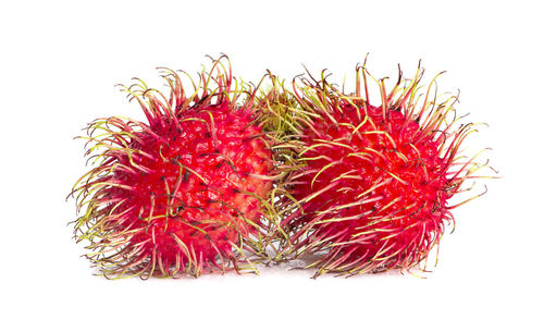 High angle view of red berries against white background