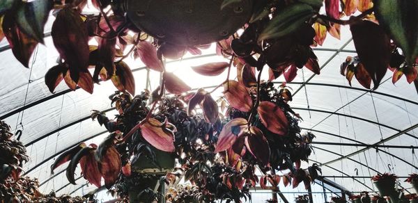 Low angle view of people hanging on ceiling