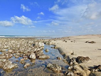 Scenic view of beach against blue sky