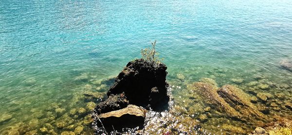 High angle view of rock on sea shore