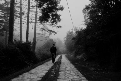 Rear view of man walking on footpath in forest