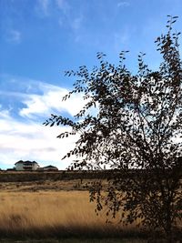 Bird flying over landscape against sky