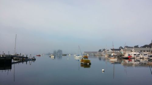 Boats moored at harbor