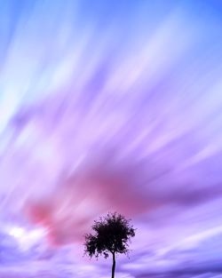 Low angle view of silhouette trees on field against sky