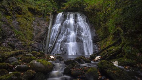 Scenic view of waterfall in forest