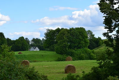 Trees on field against sky