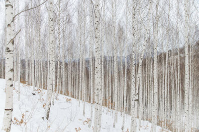 Full frame shot of snow