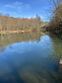 Reflection of trees in lake