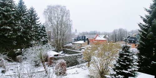 Snow covered houses and trees against sky