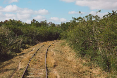 Railroad track amidst trees against sky