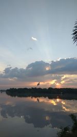 Silhouette birds flying over lake against sky during sunset