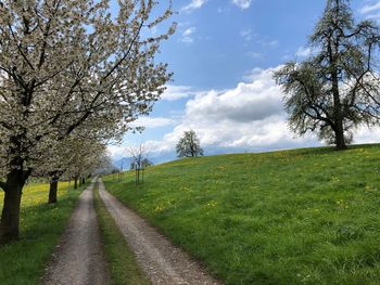 Road amidst trees on field against sky