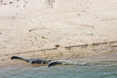 High angle view of text on beach