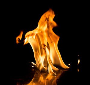 Close-up of bonfire at night