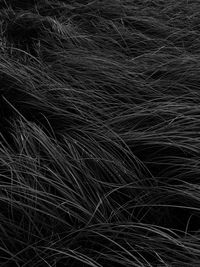 Full frame shot of black background