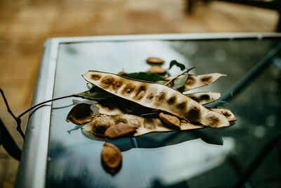 High angle view of crab on glass table