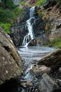 Scenic view of waterfall in forest