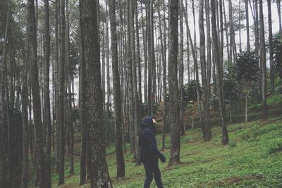 Man walking amidst trees in forest