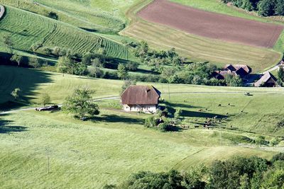 High angle view of agricultural field