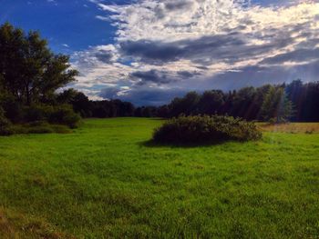 Scenic view of green landscape against sky