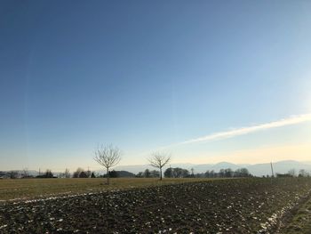 Scenic view of field against clear sky