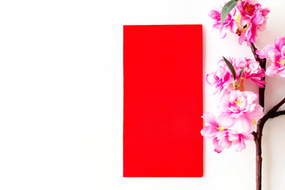 Close-up of pink flower against white background