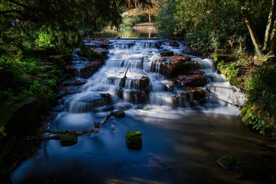 Scenic view of waterfall in forest