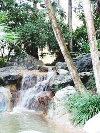 Scenic view of waterfall in forest