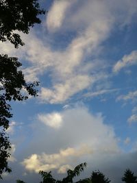 Low angle view of trees against cloudy sky