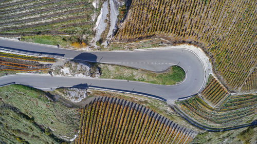 High angle view of road amidst trees