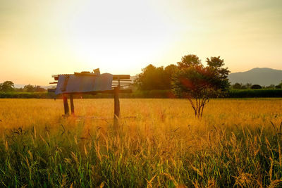 Scenic view of field against sky during sunset