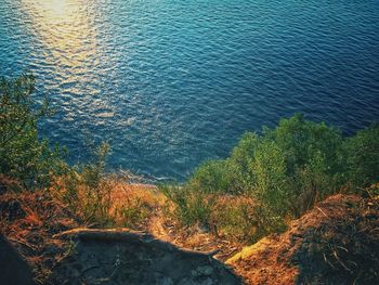 High angle view of trees by sea