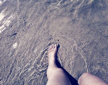 Low section of people relaxing on beach