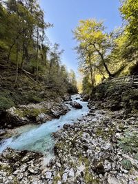 Scenic view of river against sky