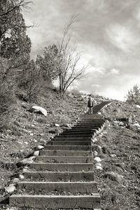 Low angle view of staircase