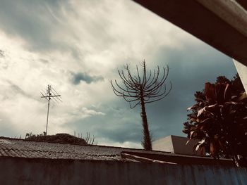 Low angle view of palm trees and building against sky