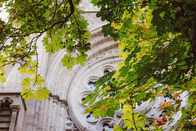 Plants against trees