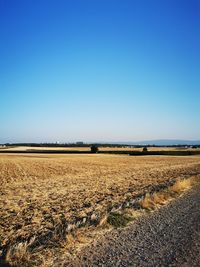 Scenic view of agricultural field against clear blue sky