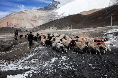 Group of people on snow covered mountain