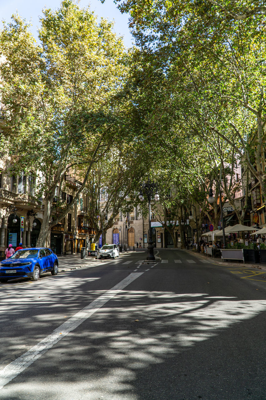 CARS ON CITY STREET