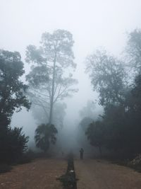 Trees on landscape against sky during foggy weather